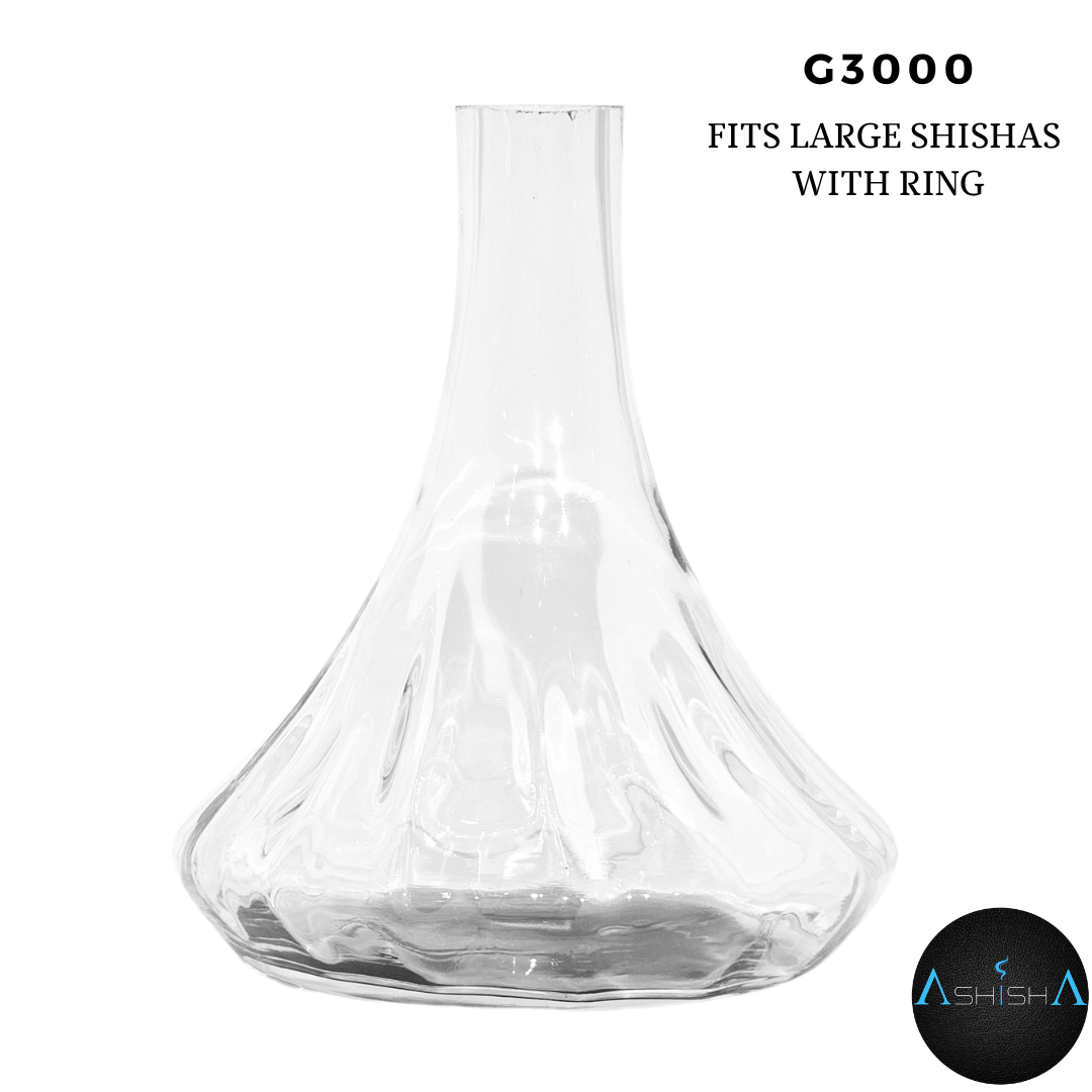 G3000