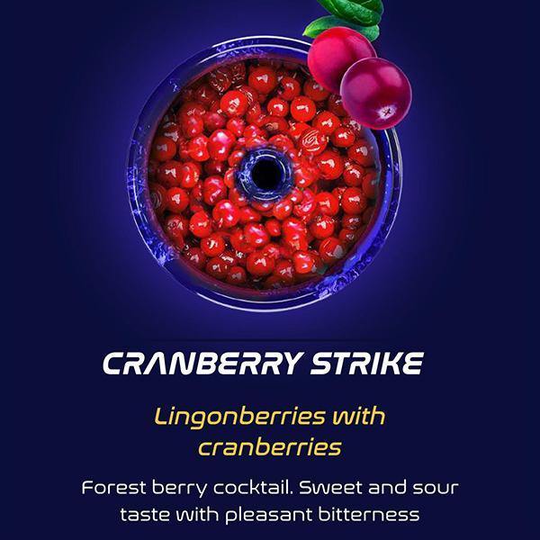 Cranberry Strike 30g BASIC - ASHISHA