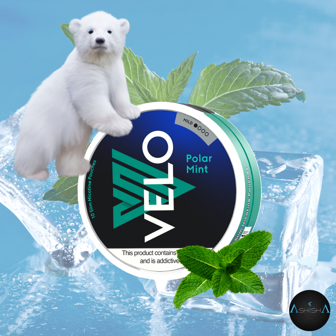 Polar Mint - 10 POUCHES