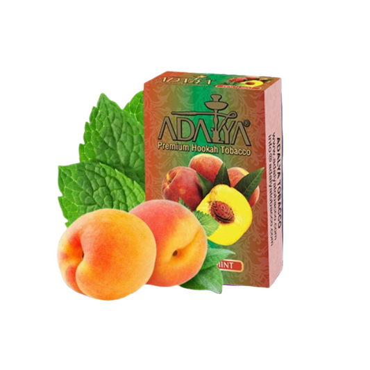 Peach Mint - ASHISHA