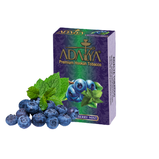 Blueberry Mint - ASHISHA